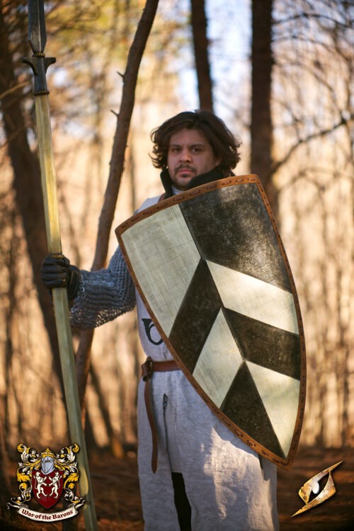 Baron's Shield